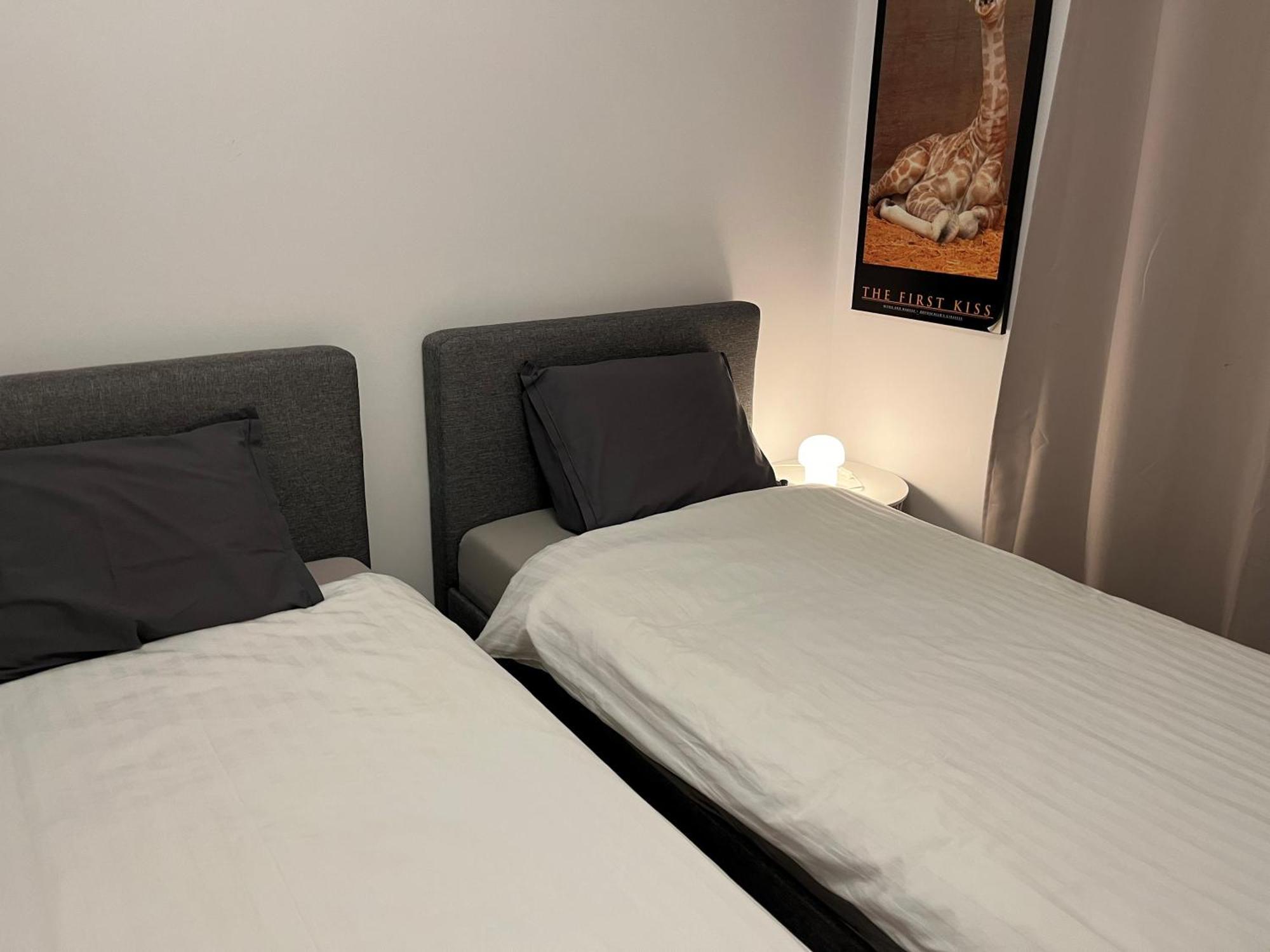 פלזן Apartment In Historical Center With Park View מראה חיצוני תמונה